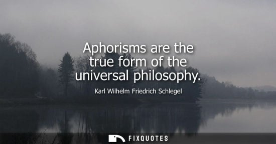 Small: Aphorisms are the true form of the universal philosophy
