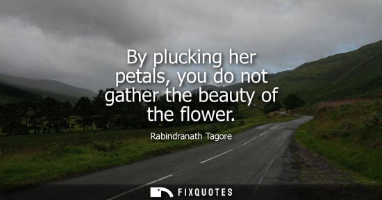 Small: By plucking her petals, you do not gather the beauty of the flower