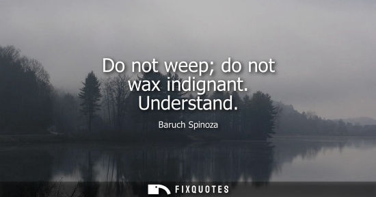 Small: Do not weep do not wax indignant. Understand