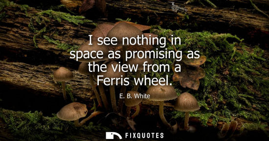 Small: I see nothing in space as promising as the view from a Ferris wheel