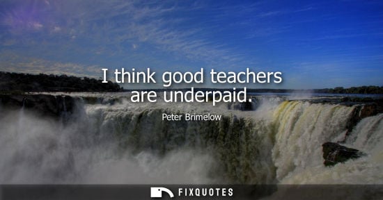 Small: I think good teachers are underpaid - Peter Brimelow