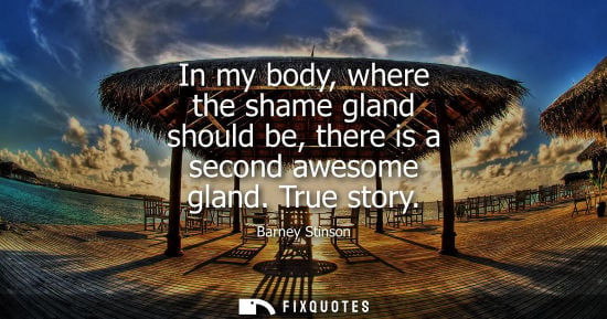 Small: In my body, where the shame gland should be, there is a second awesome gland. True story - Barney Stinson