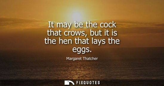 Small: It may be the cock that crows, but it is the hen that lays the eggs
