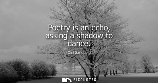Small: Poetry is an echo, asking a shadow to dance - Carl Sandburg