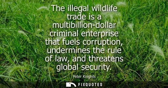 Small: The illegal wildlife trade is a multibillion-dollar criminal enterprise that fuels corruption, undermin