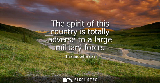 Small: The spirit of this country is totally adverse to a large military force