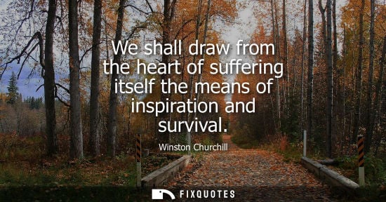 Small: We shall draw from the heart of suffering itself the means of inspiration and survival