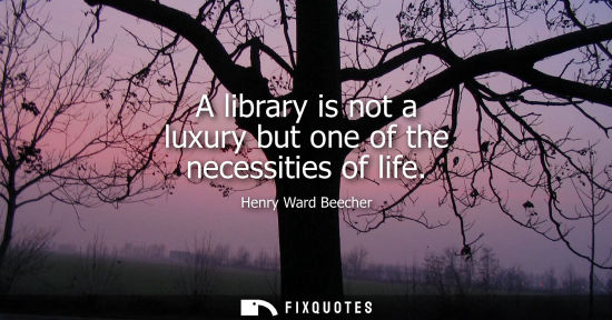 Small: A library is not a luxury but one of the necessities of life