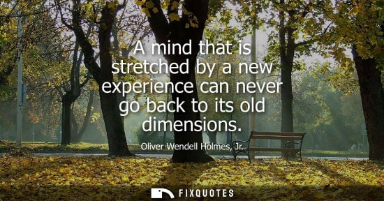 Small: A mind that is stretched by a new experience can never go back to its old dimensions