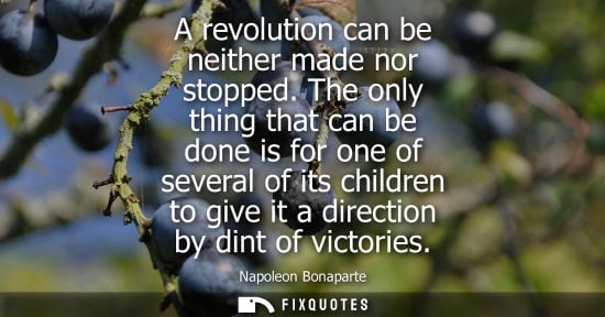 Small: A revolution can be neither made nor stopped. The only thing that can be done is for one of several of 