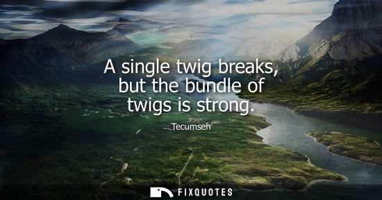Small: A single twig breaks, but the bundle of twigs is strong
