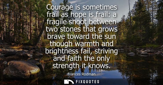 Small: Courage is sometimes frail as hope is frail: a fragile shoot between two stones that grows brave toward