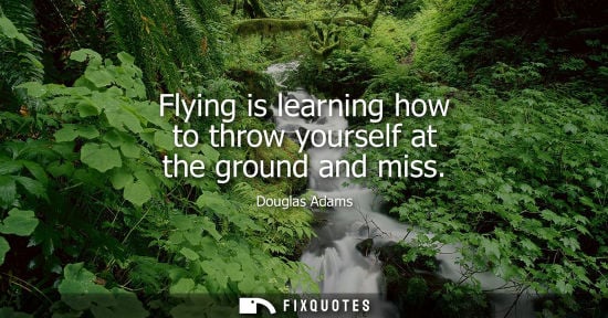 Small: Flying is learning how to throw yourself at the ground and miss