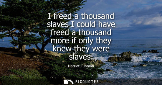 Small: I freed a thousand slaves I could have freed a thousand more if only they knew they were slaves