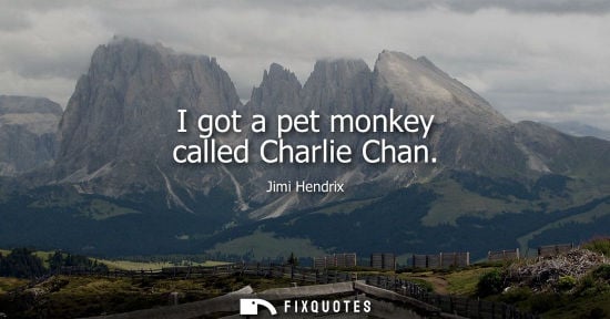Small: I got a pet monkey called Charlie Chan