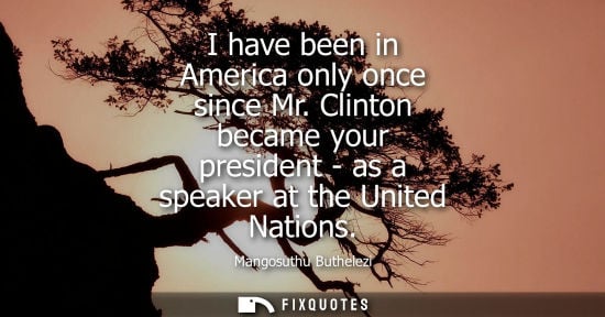 Small: I have been in America only once since Mr. Clinton became your president - as a speaker at the United Nations