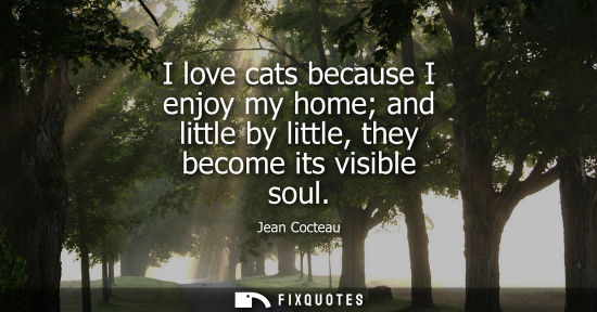 Small: I love cats because I enjoy my home and little by little, they become its visible soul
