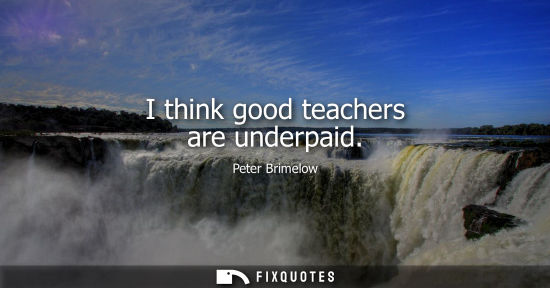 Small: I think good teachers are underpaid