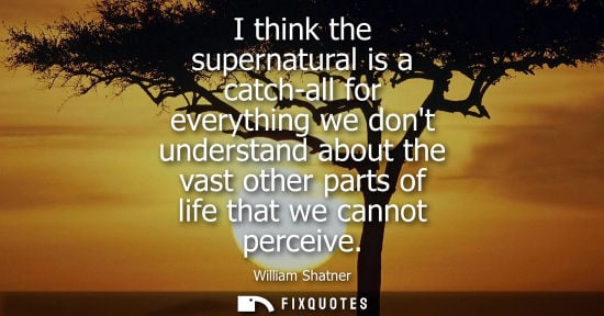 Small: I think the supernatural is a catch-all for everything we dont understand about the vast other parts of