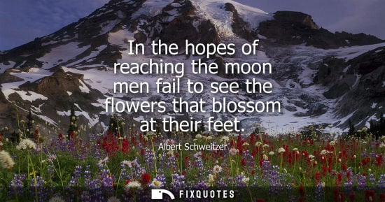 Small: In the hopes of reaching the moon men fail to see the flowers that blossom at their feet