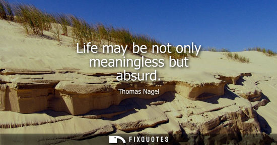 Small: Life may be not only meaningless but absurd