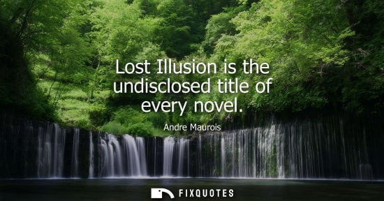 Small: Lost Illusion is the undisclosed title of every novel