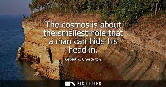 Small: The cosmos is about the smallest hole that a man can hide his head in