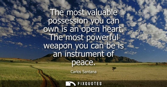 Small: The most valuable possession you can own is an open heart. The most powerful weapon you can be is an in