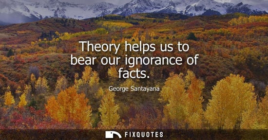 Small: Theory helps us to bear our ignorance of facts