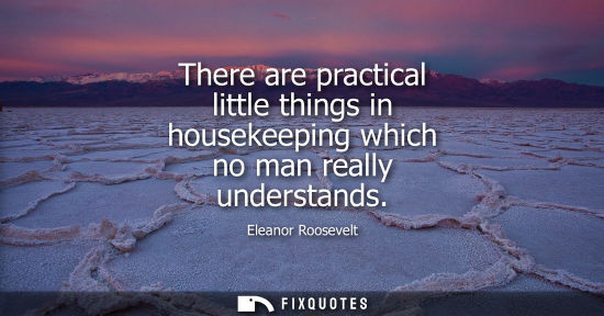 Small: There are practical little things in housekeeping which no man really understands