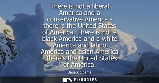 Small: There is not a liberal America and a conservative America - there is the United States of America.