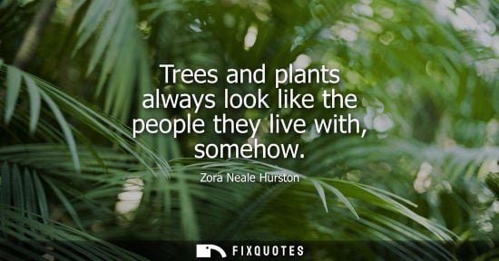 Small: Trees and plants always look like the people they live with, somehow