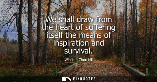 Small: We shall draw from the heart of suffering itself the means of inspiration and survival - Winston Churchill