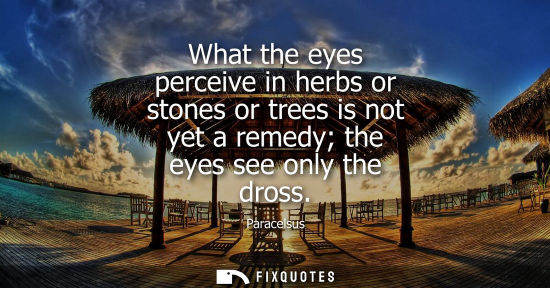 Small: What the eyes perceive in herbs or stones or trees is not yet a remedy the eyes see only the dross