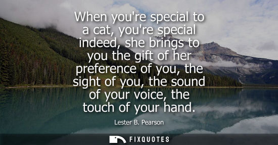 Small: When youre special to a cat, youre special indeed, she brings to you the gift of her preference of you,